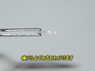 HG セラヴィーガンダム