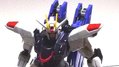 RG フリーダムガンダム，プラモデル